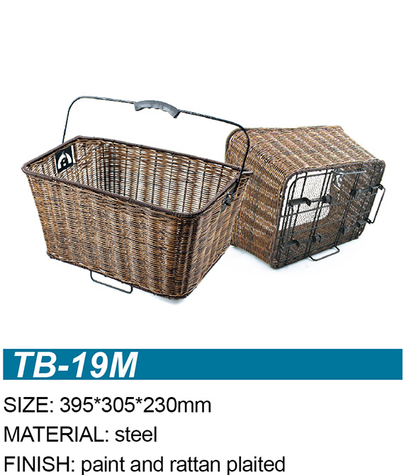 TB-19M