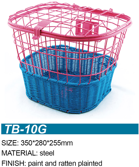TB-10G