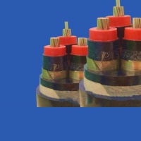 核用电缆 -起帆核用电缆